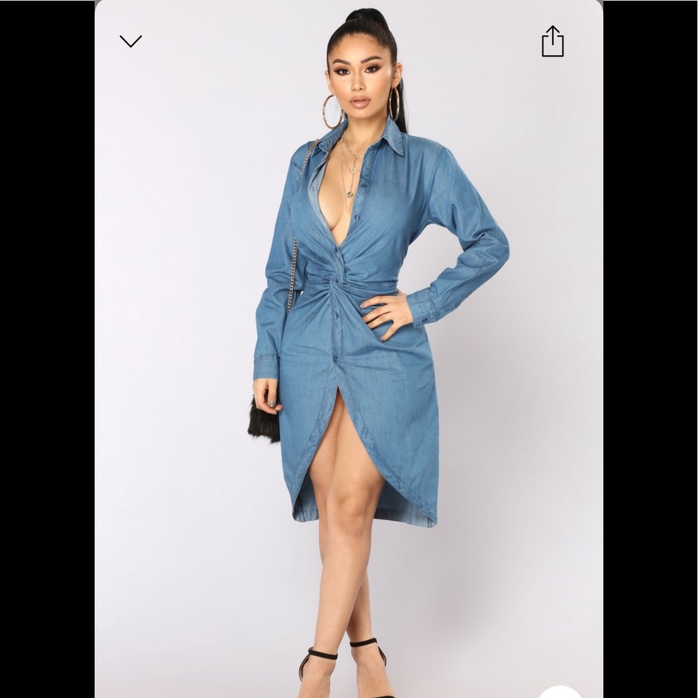 Denim Shirt Dress (NWT)